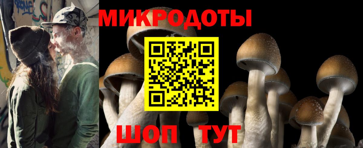 Жуковский  Псилоцибиновые грибы ЛСД  Вход с VPN 